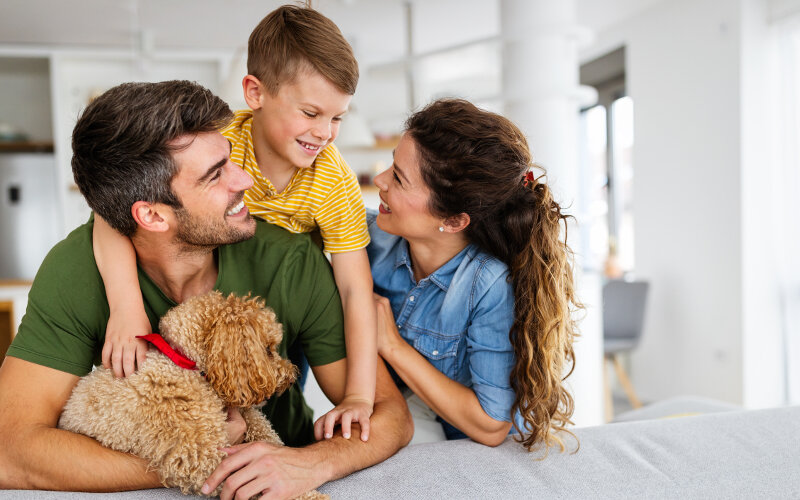 Great in-home experiences